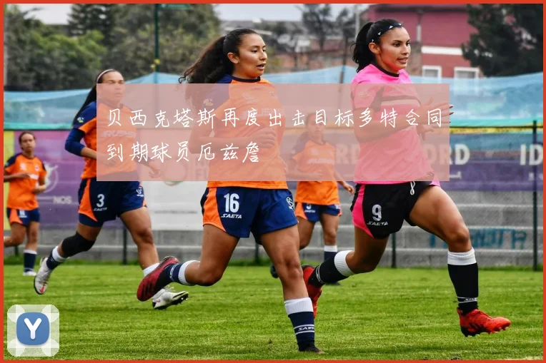 贝西克塔斯再度出击目标多特合同到期球员厄兹詹