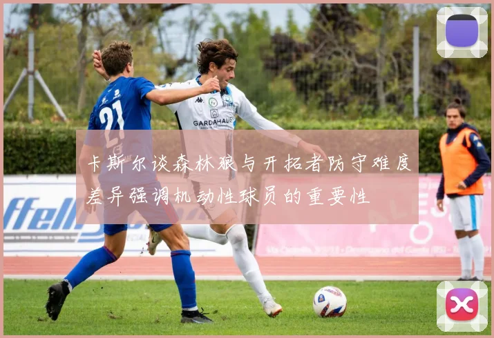 卡斯尔谈森林狼与开拓者防守难度差异强调机动性球员的重要性